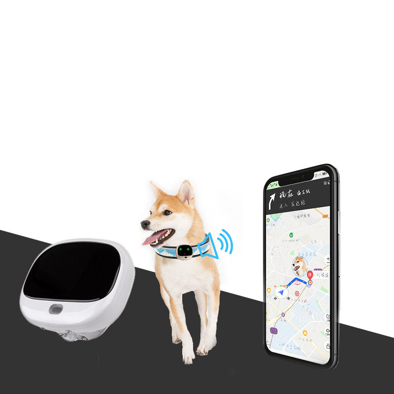 4G Pet GPS Waterproof Collar Smart Dog Hound Locator Anti-lost Tracker For Mini Cat