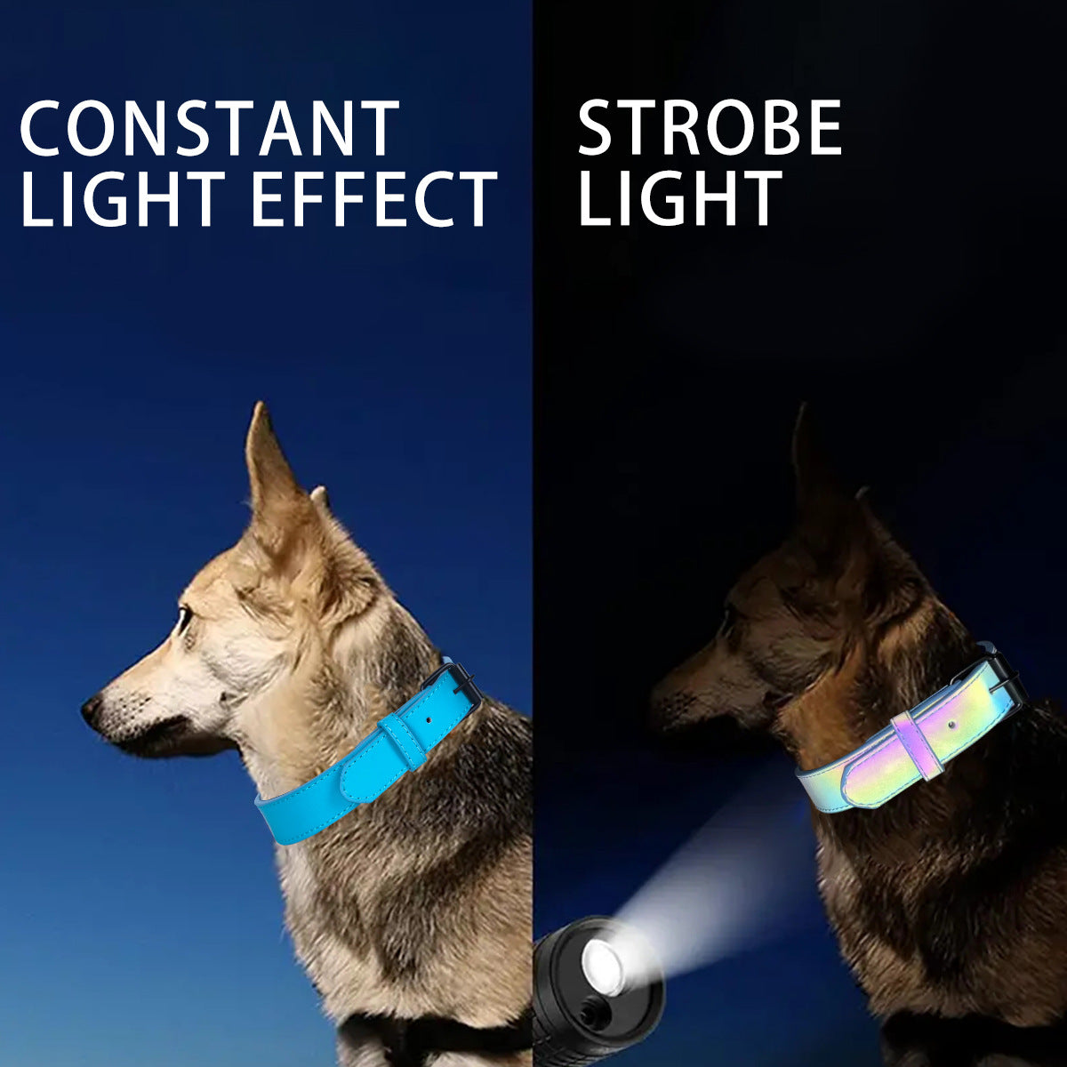 PU Reflective Dog Collar Colorful Adjustable Dog Tag Safety Traction Pet Collar Dog Training Collar